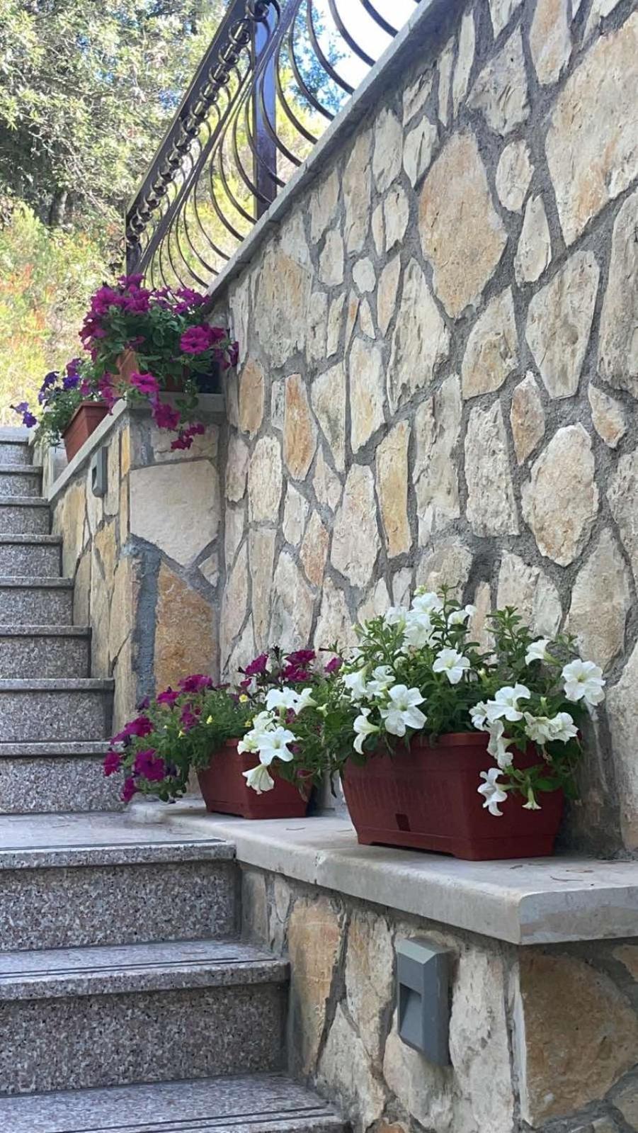 Villa Terra Nostra Hvar Hvar Town Eksteriør bilde