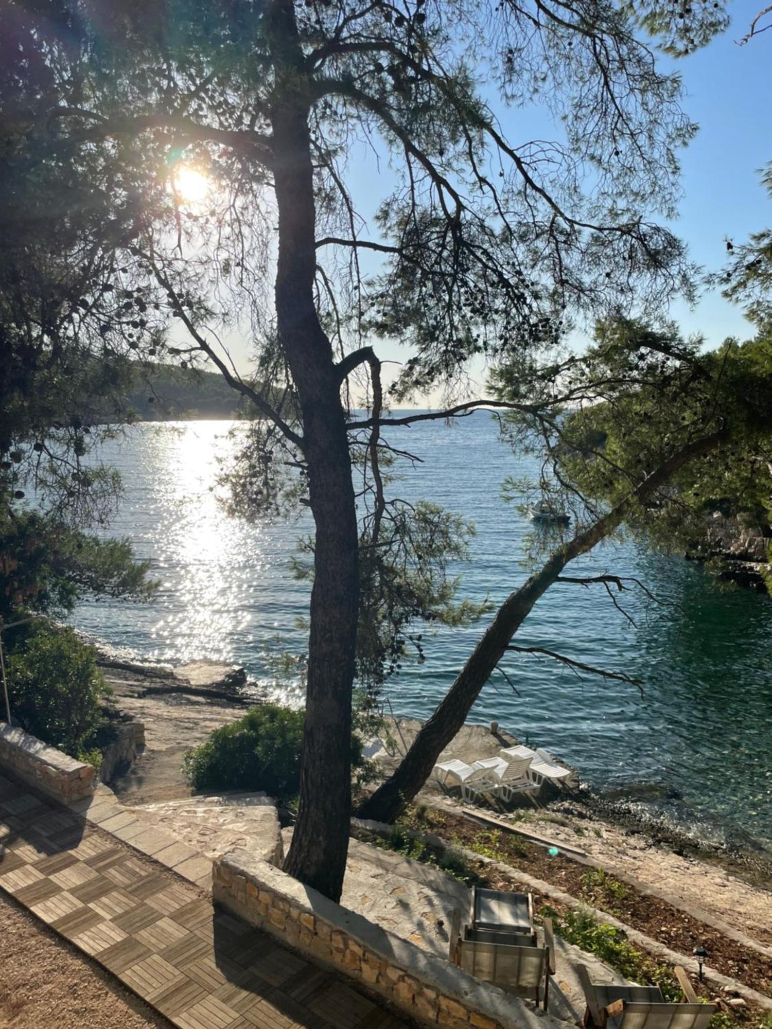 Villa Terra Nostra Hvar Hvar Town Eksteriør bilde