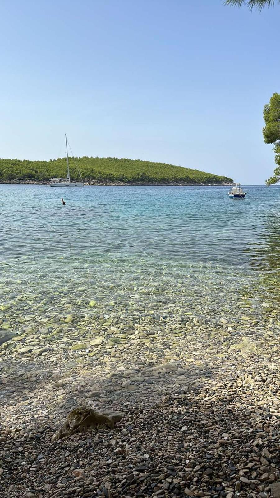 Villa Terra Nostra Hvar Hvar Town Eksteriør bilde