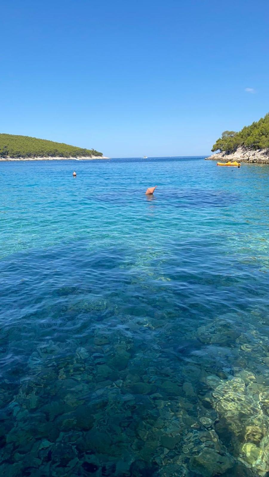 Villa Terra Nostra Hvar Hvar Town Eksteriør bilde